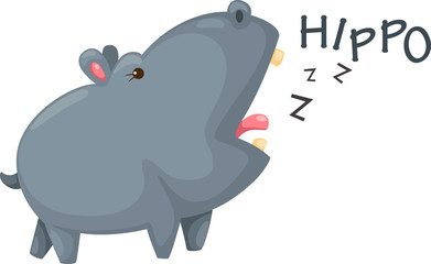 hippo vector