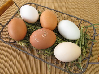 Eier mit natürlicher Färbung