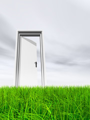 Conceptual white door in grass