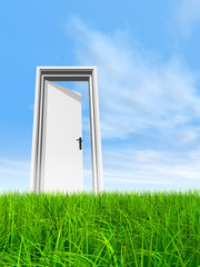 Conceptual white door in grass
