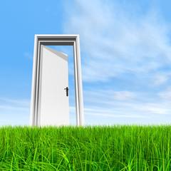 Conceptual white door in grass