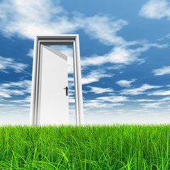Conceptual white door in grass