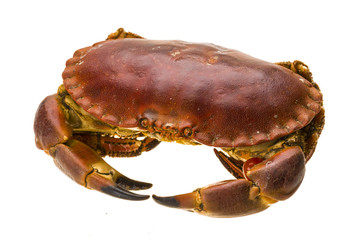 Raw crab