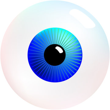 Eyeball (Augapfel)