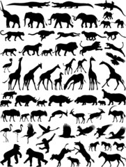 African wild animals vector silhouette