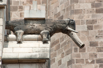 Naklejka premium Gargoyle of the cathedral of barcelona