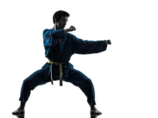 karate vietvodao martial arts man silhouette