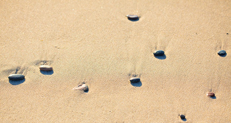 Fototapeta na wymiar Pebbles on the sand
