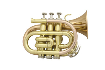 trumpet