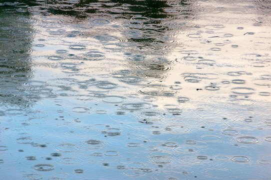 rain drops in a puddle with some reflections