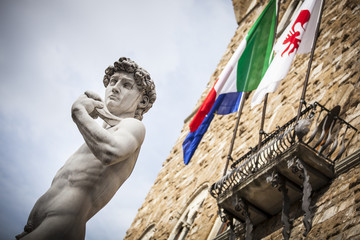 David di Michelangelo a Firenze - 51904355