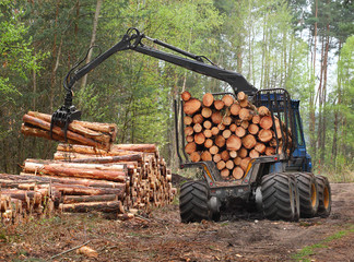 The harvester working in a forest.