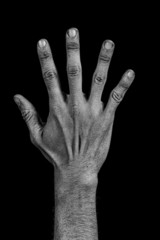 Hand on black back - five