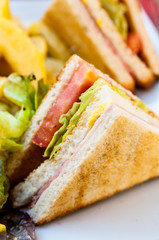 Sandwich