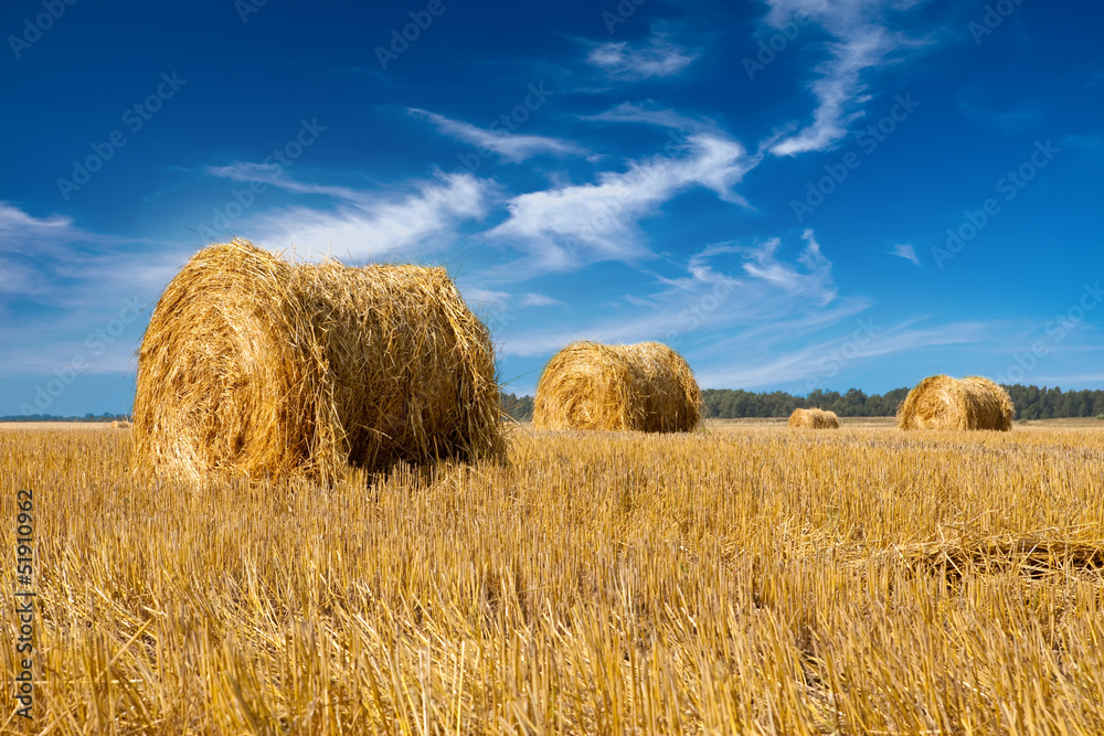 Wall mural stacks in the field..