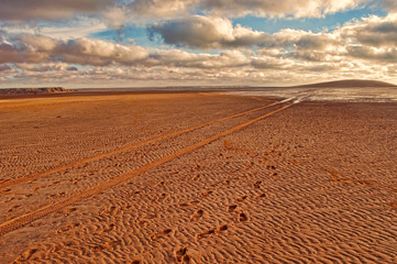 Fototapeta premium coast and beach