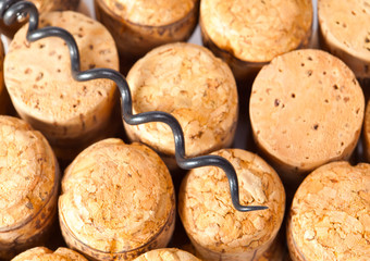 Plugs for wine bottles from natural cork