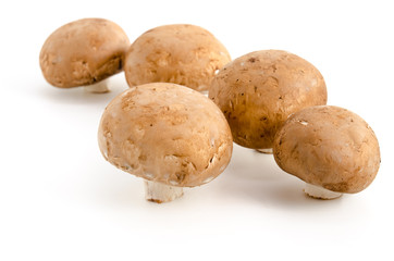 Braune Champignons