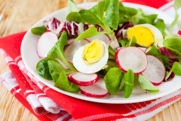 Spring vitamin salad with radish and egg
