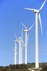 wind energy
