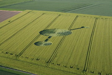 Crop Circle