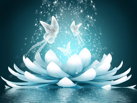 Beautiful lotus flower