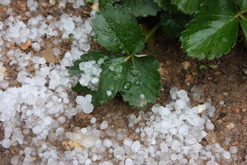 Granizo
