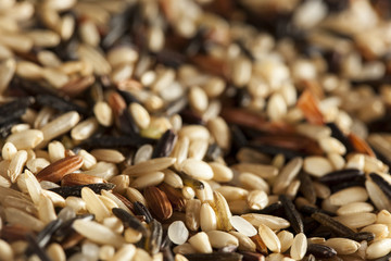 Organic Dry Multi Grain Rice