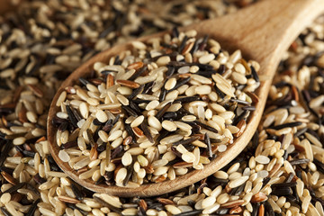 Organic Dry Multi Grain Rice