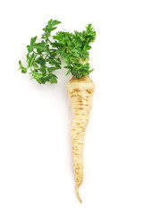 parsley root