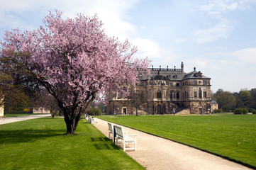 Dresden Palais im Großen Garten