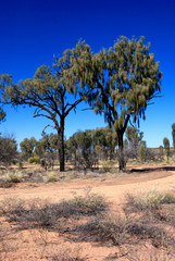 Australian Outback