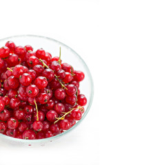 Bowl of red currant, isolated on white