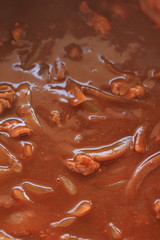 cooking of beef and onion stew