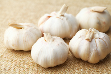 Garlic