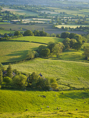 Idyllic rural landscape, Cotswolds UK