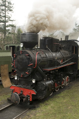 Naklejka premium steam engine train
