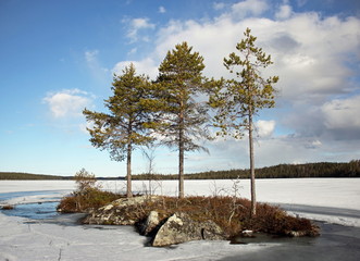 Маленький остров на озере © Natalya Osipova