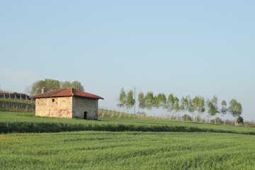 rural building and crop