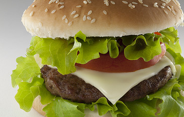 Hamburger