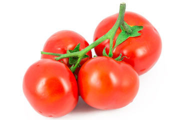 Tomatoes