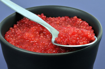 Des oeufs de lump rouges