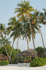 Paysage plage 68