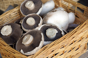 Farm shop fresh mushrooms in a wicker basket