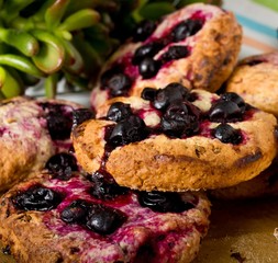 Homemade oatmeal cookies with blackberry, closeup