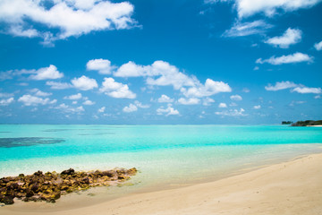 Fototapeta na wymiar Tropikalna plaża na wyspie Vilamendhoo na Oceanie Indyjskim