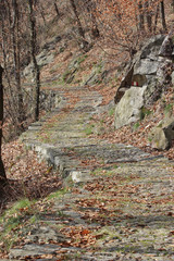 fall season mountain path