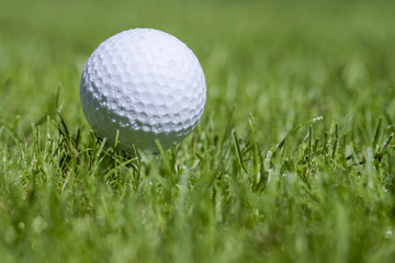 golfball on grass