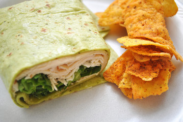 Close-Up of a Healthy Portioned Lunch