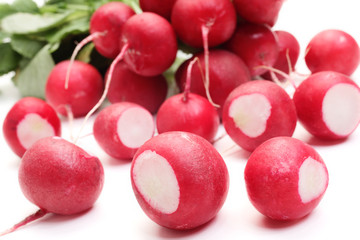 Fresh radish on white background